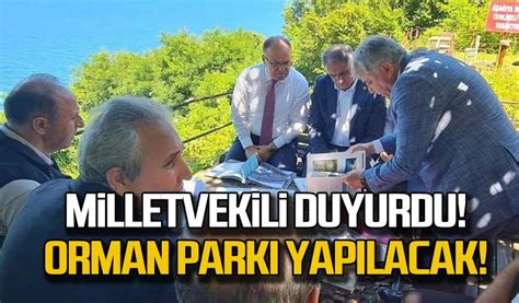 Milletvekili Saffet Bozkurt Duyurdu Orman Park Yap Lacak