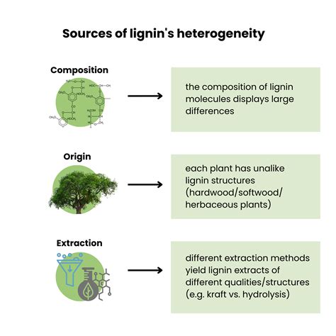 What Is Lignin Everything You Need To Know Lignovations