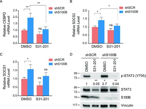 S100B Inhibits Transcription Activity Of P STAT3 QRT PCR Was Performed