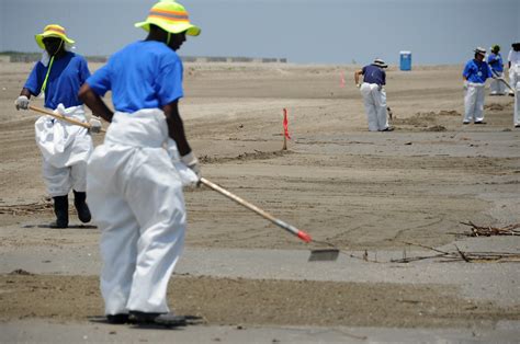 Shoreline Clean Up Efforts Flickr