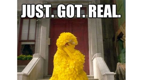 Big Bird Funny Quotes. QuotesGram