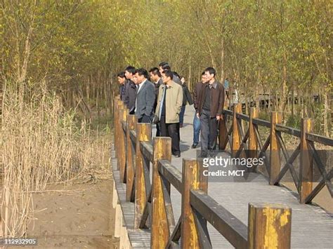 Dongtan Eco City Photos and Premium High Res Pictures - Getty Images