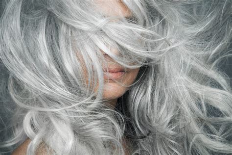 Explainer Why Does Hair Turn Grey Cosmos Magazine