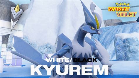 How To Get White Black Kyurem In Pokemon Scarlet Violet Youtube