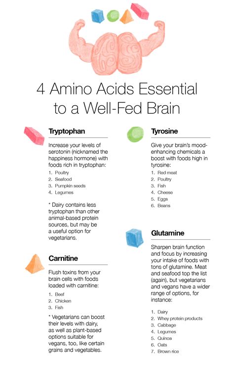 Eating for Brain Health: How Amino Acids Shape Your Thoughts – The Amino Company