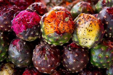 La Pitaya Mexicana Diferencias Con Las Pitahayas Cocina Delirante