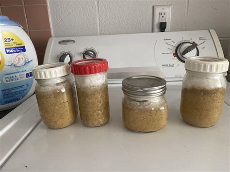 Month old miso! : r/fermentation