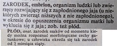 Czasem Do Zmiany Obowi Zuj Cego Prawa Wystarczy Zmieni Definicj