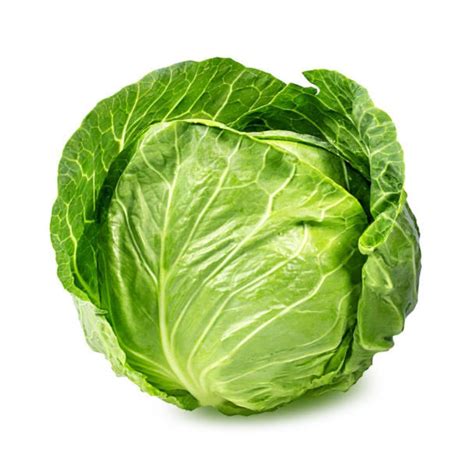 Cabbage Green Superb Hyper