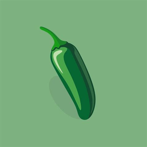 Premium Vector Jalapeno Chili Pepper Vector Flat Illustration