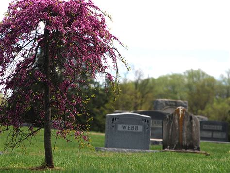 Gallery | Mountain View Cemetery