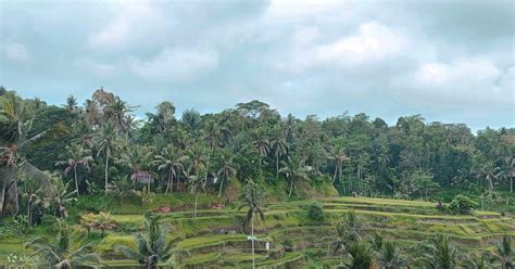 Best Bali Day Tour For Korean Couple Klook