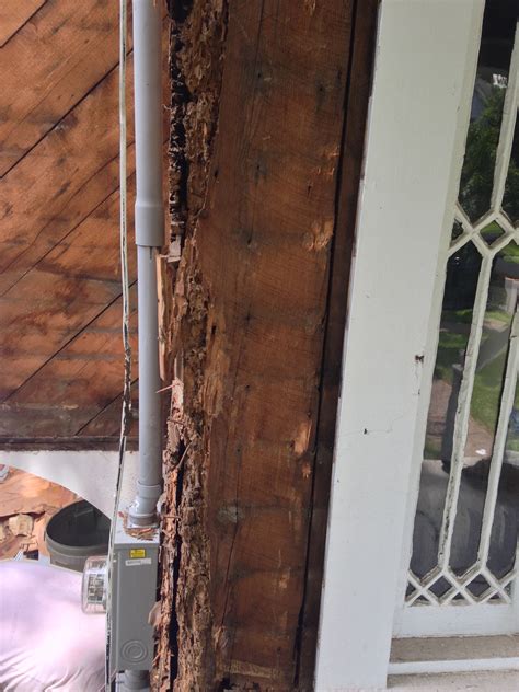 Major Termite Damage | Victorian Home Renovation