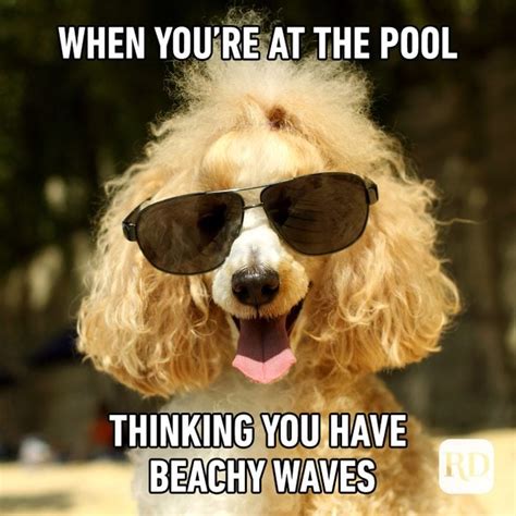 Summer Meme