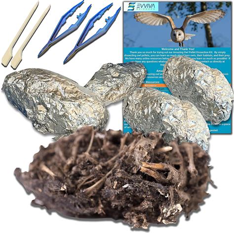 Amazing Owl Pellet Dissection Kit 5 Piece Owl Pellet Set For Science Lab Projects