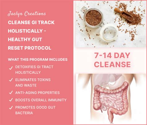 Cleanse Gi Track Holistically Healthy Gut Reset Jaclyn Creations