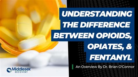 Understanding The Difference Between Opioids Opiates And Fentanyl An