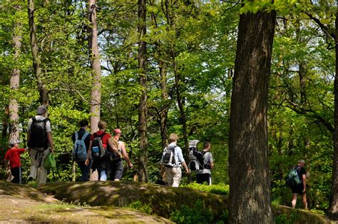 Vier Tages Rundwanderung In Den Nordvogesen