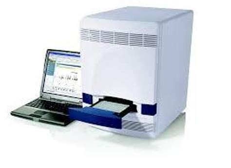 Abi Fast Real Time Pcr