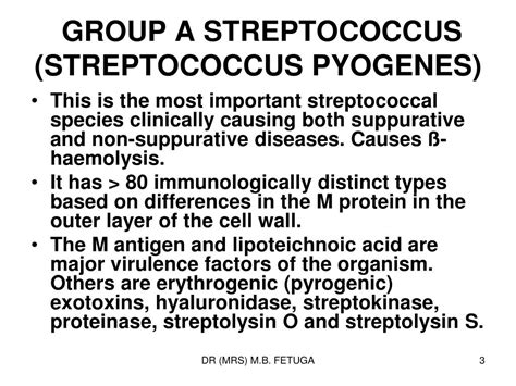 Ppt Streptococcal Infections Diseases Powerpoint Presentation Id