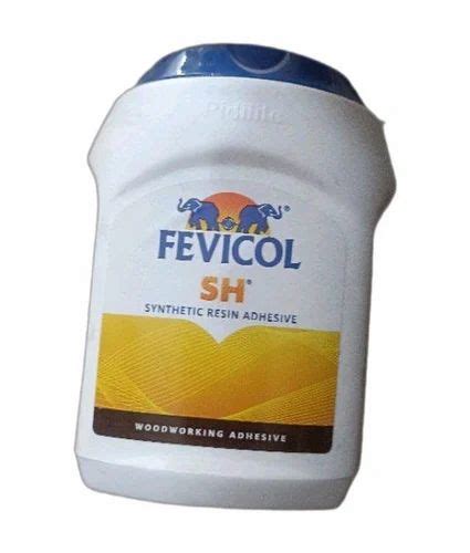 100 Gm Pidilite Fevicol Adhesive At Rs 170kg In Faridabad Id