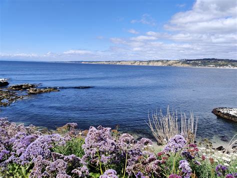 14 Most Beautiful West Coast Beaches To Add To Your Bucket List