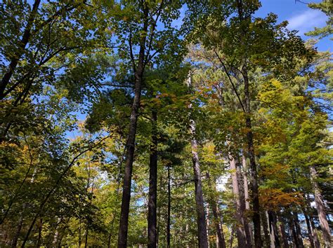 Itasca State Park - Go Wandering