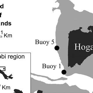 Sites Of Light Trap Sampling Off Hoga Island Indonesia 528 20 S