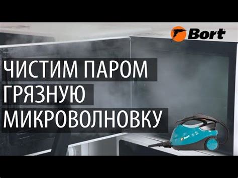 Пароочиститель BDR-2500-RR купить в интернет магазине Bort.ru