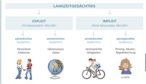 Kognitive Prozesse Karteikarten Quizlet