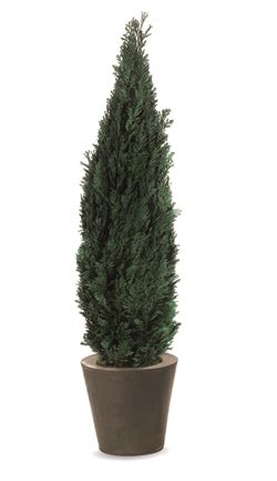 Декоративные искусственные деревья