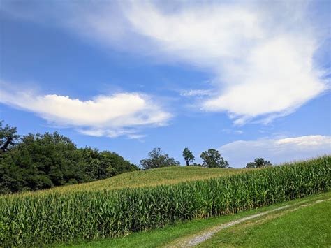 Usda Agriculture Programs Now Open For Risk Program The Botetourt Bee