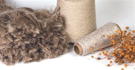 Renewable Fibers Sustainable Materials For A Greener Future