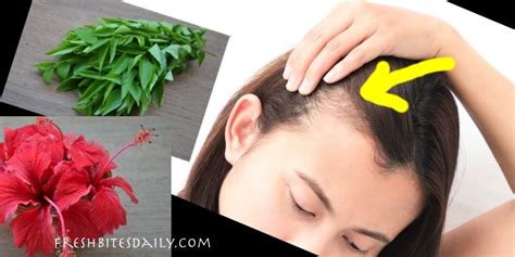 Herbs For Hair Loss Natural Remedies For Thinning Hair Fresh Bites