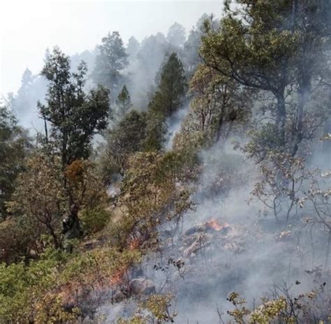 Durango Registra Año Récord En Incendios Forestales El Siglo De Torreón