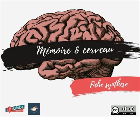 Mémoire et cerveau Globe Conteur Transmission de l histoire