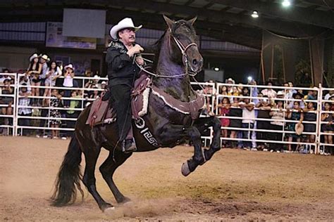 Espectacular Show Ecuestre Con Joan Sebastian Gtoviaja Revista De