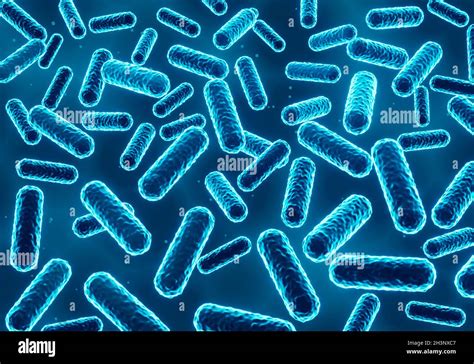 Bacillus Bakterien Illustration Stockfotografie Alamy