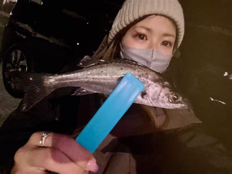 わかな🐟 さんの 2023年01月08日のシーバスの釣り・釣果情報遠州灘 アングラーズ 釣果500万件の魚釣り情報サイト