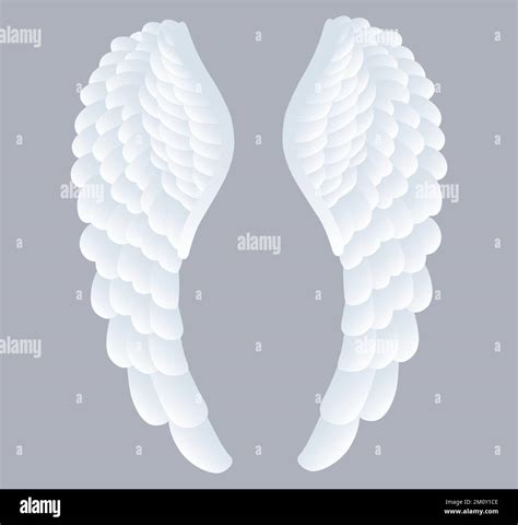 Wing Pairs Stock Vector Images Alamy