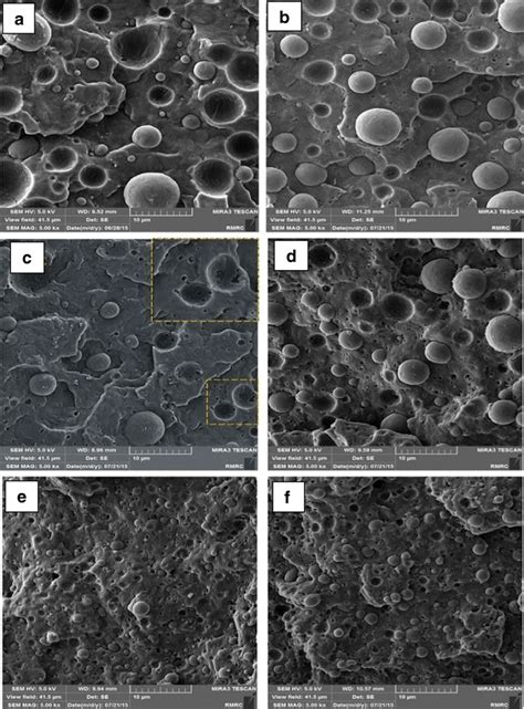 Fesem Micrographs Of Pp Pa6 Epdm G Ma 80 20 X W W Ternary Blends Download Scientific Diagram