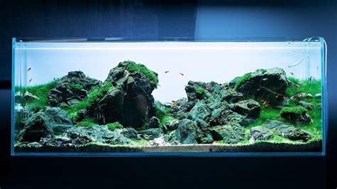 His First Aquarium Iwagumi Aquascape Step By Step Tutorial Off