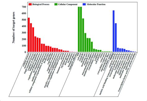 Go Analysis Of The Target Genes Of Differentially Expressed Mirnas In