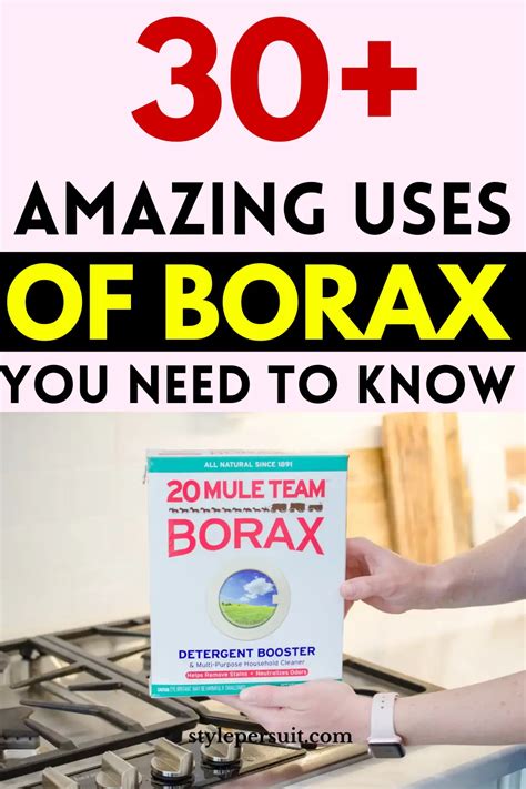 40+ Amazing Borax Uses for Cleaning, Health, and Gardening – StylePersuit