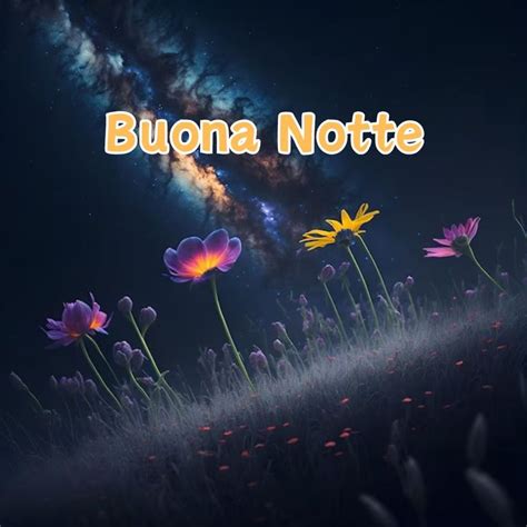 788 Immagini Buonanotte Belle Gratis Per Whatsapp Web в 2024 г