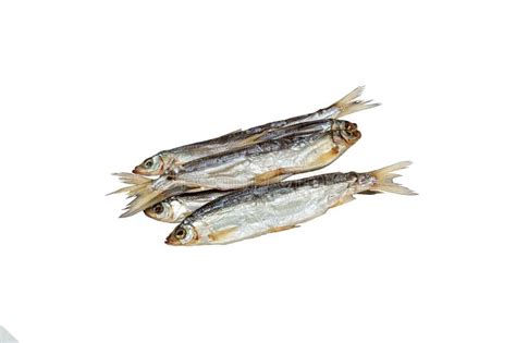 Fish Dried Stock Illustrations – 2,196 Fish Dried Stock Illustrations ...