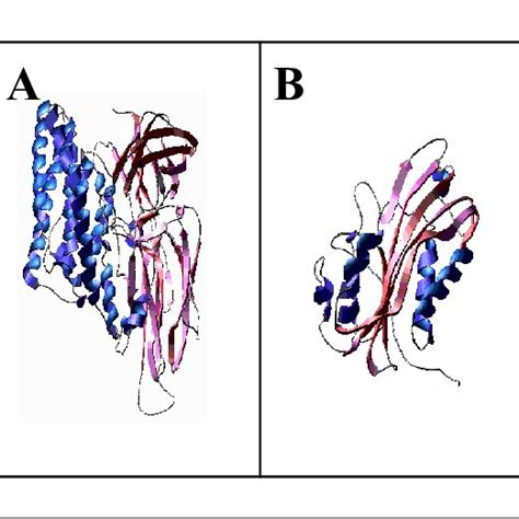 Three Dimensional Structures Of Insecticidal Toxins Produced By