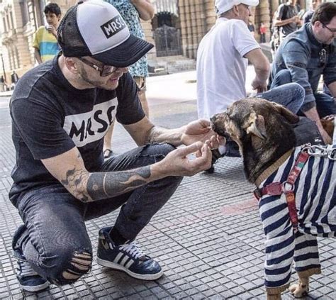 Moradores De Rua E Seus C Es Conhe A O Projeto