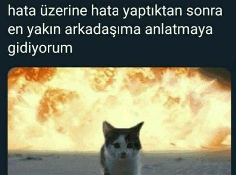 Hshshshwhdbd ben bişey yapmadım Komik şeyler Çılgın dişi kedi Komik