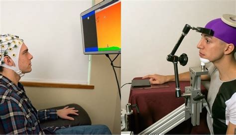 Brain Hack: How Scientists Connected One Brain To The Other Over Internet